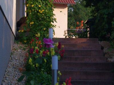 Treppe zum Garten