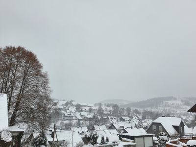 Ausblick vom Tinyhouse