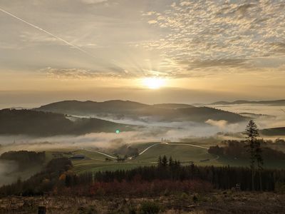 Morgenstunde auf dem Homberg