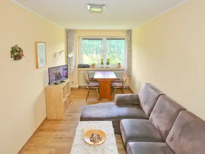 Ferienwohnung für 4 Personen (55 m²) in Bad Berleburg 4/9
