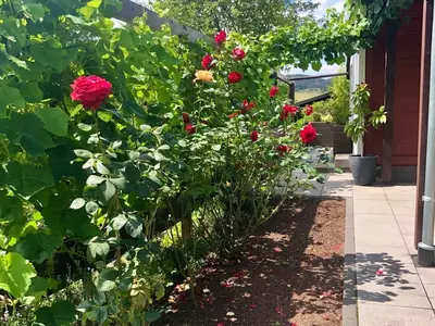 Rosengarten der Urlaubsoase im Edertal