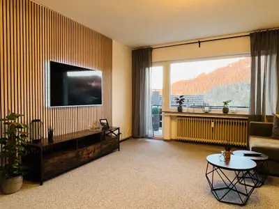 Ferienwohnung für 4 Personen (61 m²) in Bad Berleburg 8/10