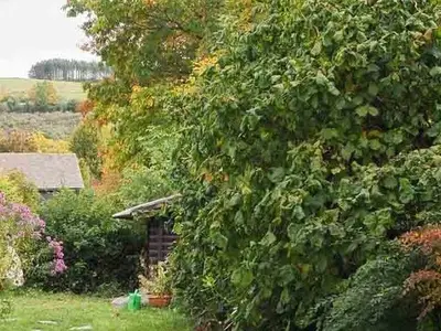 Ferienwohnung für 4 Personen (55 m²) in Bad Berleburg 9/10