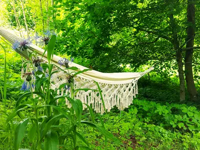 Aussenansicht Ferienhaus NaturReich Hängematte