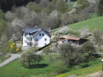Ferienwohnung für 4 Personen (67 m²) in Bad Berleburg 7/7