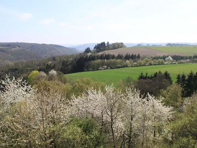 Landschaft im Frühling