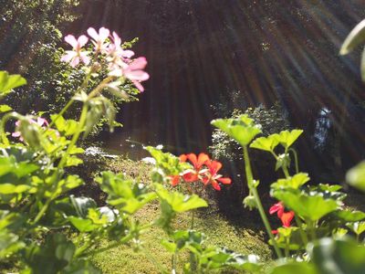 Gartenblick