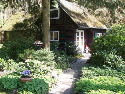 Ferienwohnung für 2 Personen (35 m²) in Bad Bevensen 1/10