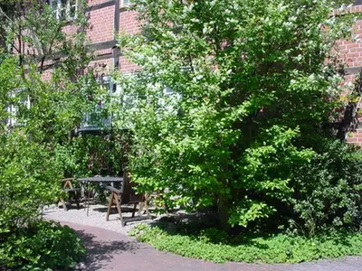 Ferienwohnung für 6 Personen (95 m²) in Bad Bevensen 2/10