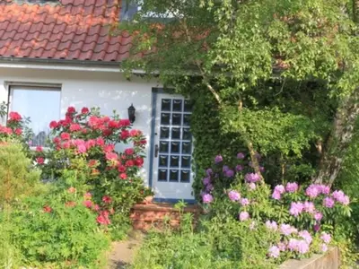 Ferienwohnung für 4 Personen (61 m²) in Bad Bevensen 2/10