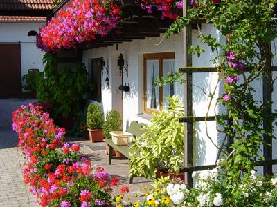 Prachtvolle Blumenpracht vor der Haustüre