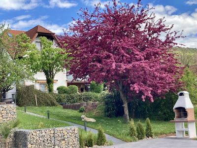 Garten im unteren Bereich