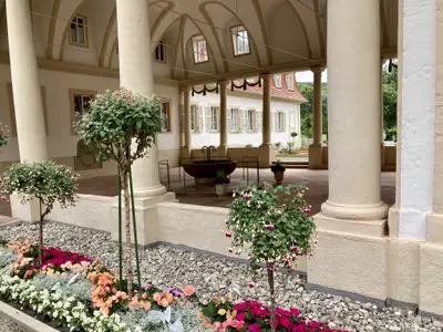 Kurpark - Trinkhalle - Balthasar-Neumann - Heilquelle