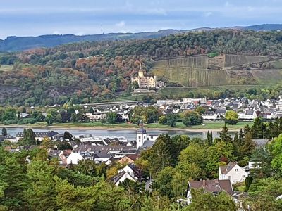 Aussicht auf Schloss Arenfels und das Rheintal