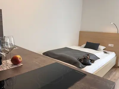 Ferienwohnung für 2 Personen (25 m²) in Bad Dürrheim 3/8