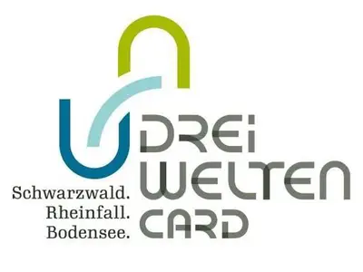 Ferienwohnung für 2 Personen (44 m²) in Bad Dürrheim 9/10