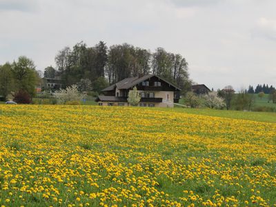 Haus Frühling