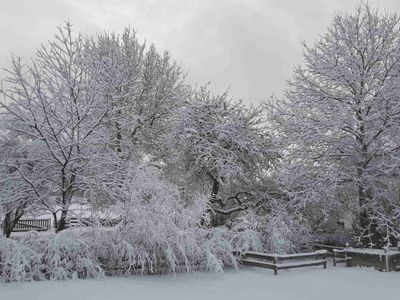 Ferienwohnungen Stecher Garten im Winter