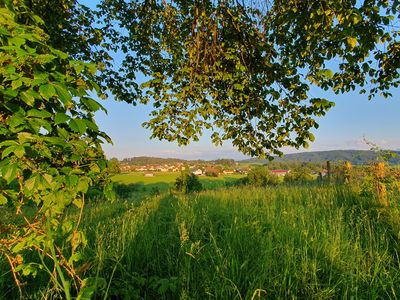 Mittig im Bild - Ferienwohnungen Stecher Bad Endorf