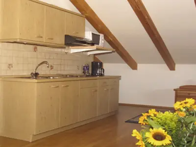 Ferienwohnungen Stecher - Wohnung 7 Loft Küchenzeile