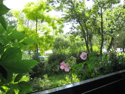 Blick vom Balkon