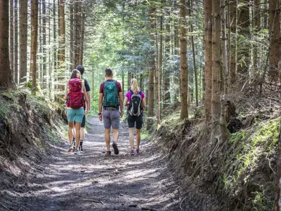 Wandern