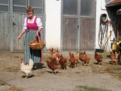 Frische Eier