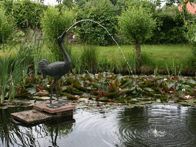 Teich Ruhegarten