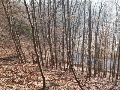 Der Liethwald im Winter