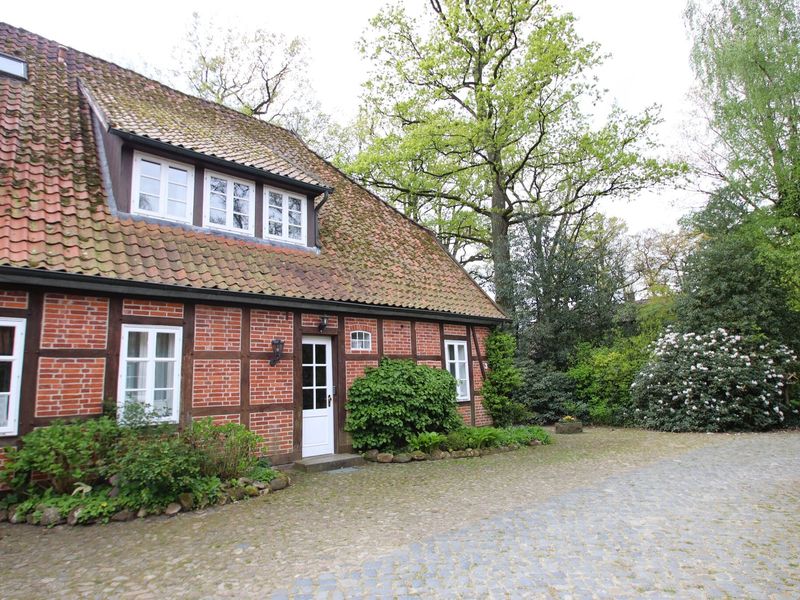 23993384-Ferienwohnung-3-Bad Fallingbostel-800x600-0