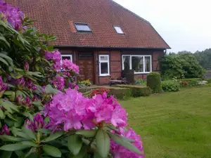 Ferienwohnung für 3 Personen (45 m²) in Bad Fallingbostel