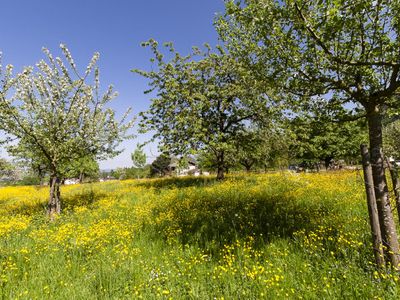 Garten - Ausblick