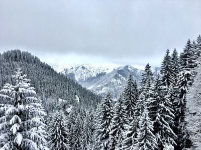 Bergpanorama im Winter