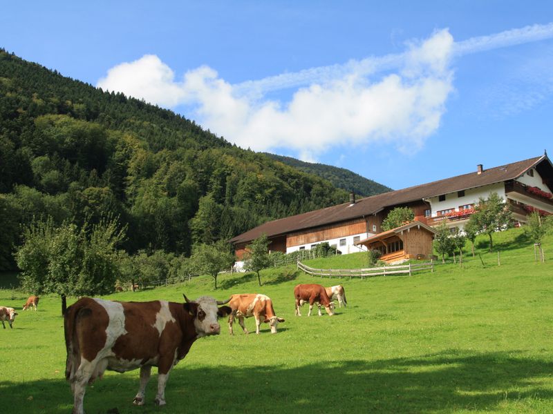 92631-Ferienwohnung-4-Bad Feilnbach-800x600-0