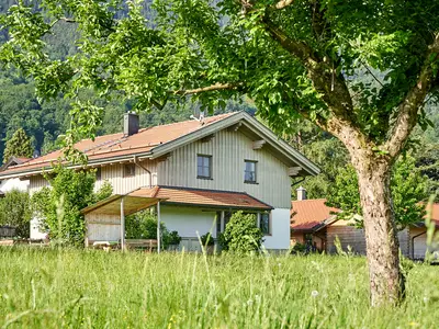 Sommer mit Wiesen