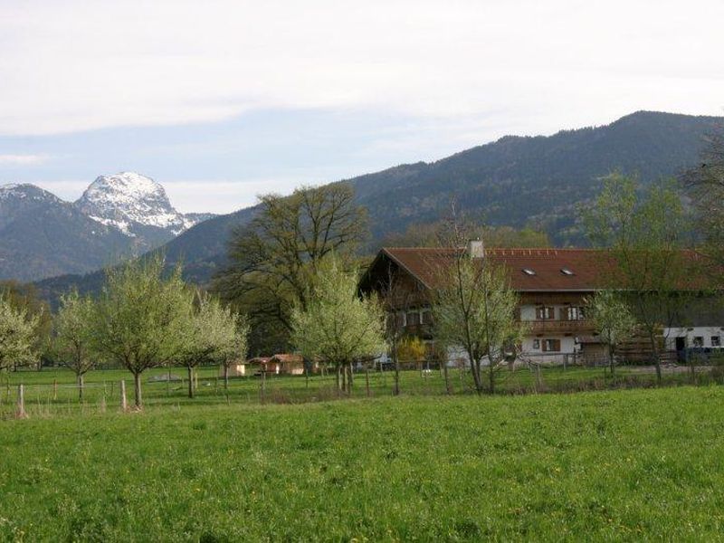 18058520-Ferienwohnung-4-Bad Feilnbach-800x600-2