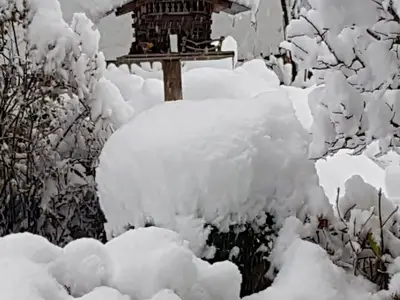 Winter4