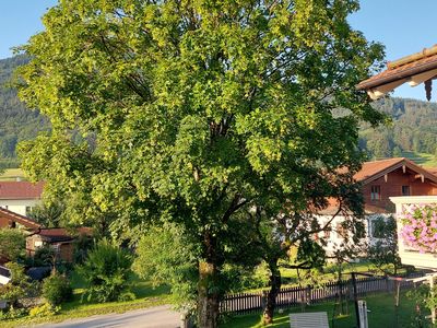 Blick vom Südbalkon