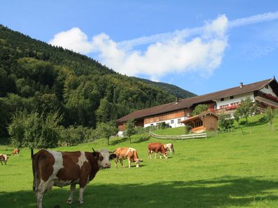 Unterulpointhof im Sommer