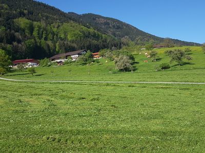 Blick auf den Hof von der Ferne