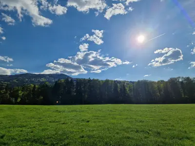 Natur