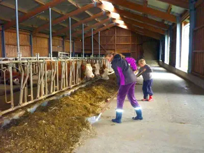 Stall