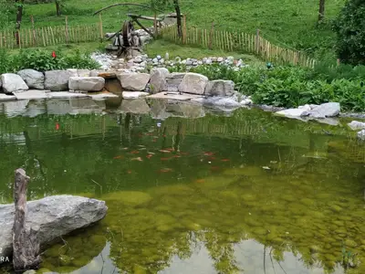 Ferienwohnung für 4 Personen (55 m²) in Bad Feilnbach 6/10