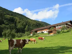 Ferienwohnung für 4 Personen (55 m²) in Feilnbach