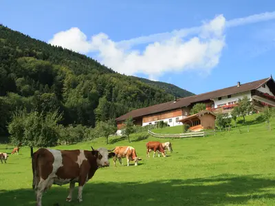 Unterulpointhof im Sommer