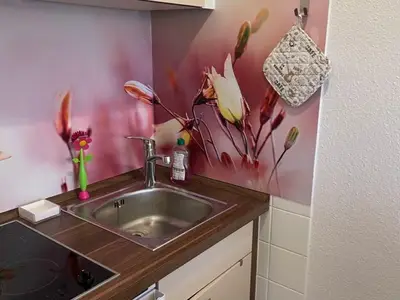 Küchenzeile mit Herd/Kühlschrank und Spüle
