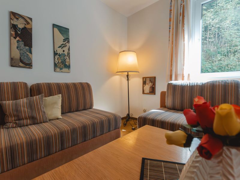 23837386-Ferienwohnung-4-Bad Gastein-800x600-1