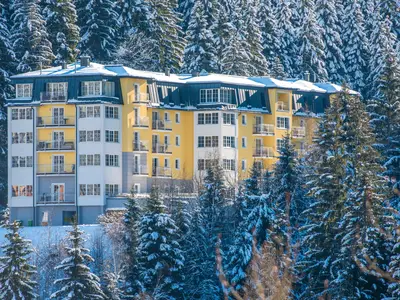 Ferienwohnung für 4 Personen (45 m²) in Gastein 6/9