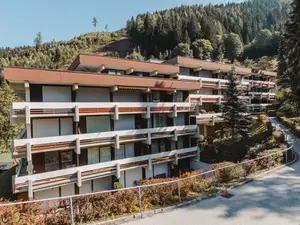 Ferienwohnung für 4 Personen (50 m²) in Gastein