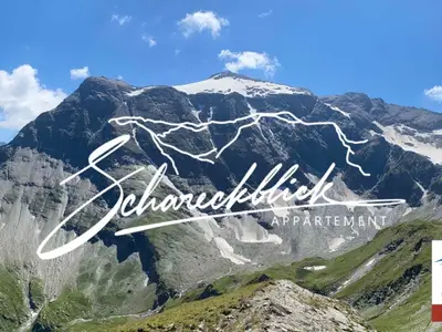 Ferienwohnung für 6 Personen (65 m²) in Bad Gastein 1/10